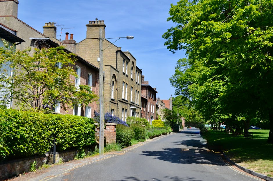 A quiet residential street with a row of historic brick terraced houses on the left side, each featuring large sash windows, decorative stone lintels, and pitched roofs with chimneys. The front gardens are well-maintained, with trimmed bushes, small trees, and flowering plants, some with purple blooms. A tall, grey streetlight with a single lamp is positioned centrally along the pavement, casting subtle shadows on the asphalt road, which curves gently to the right. On the right side, there is a lush, green park area with mature trees whose branches and vibrant foliage create dappled shade over the sidewalk and part of the road. The bright blue sky with a few wispy clouds indicates a clear, sunny day. This scene illustrates a typical West Hampstead neighborhood, and the presence of the streetlight and well-kept gardens suggests that local services like private rubbish removal and on-site clearance might regularly manage waste alongside standard urban maintenance, supporting independent waste handling in the area. The overall atmosphere is peaceful and orderly, demonstrating the tidy condition of the neighbourhood.