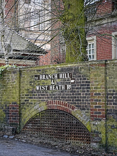 A brick wall with a semi-circular grated vent at the base, covered in moss and weathering, is situated alongside a paved street. Above the wall, there is a large tree with rough, textured bark and bare branches extending outward, partially obscuring a multi-storey red-brick building with white-framed windows. Attached to the wall is a black and white street sign indicating directions to 'Branch Hill' and 'West Heath Rd.' The scene appears to be part of a residential area in West Hampstead, with the sign and environment suggesting an established, urban neighbourhood. The overall lighting is natural, with ambient daylight illuminating the scene, casting subtle shadows. This setting visually relates to independent or alternative waste handling options, possibly indicating a private or local authority-managed area, relevant when considering rubbish removal services in West Hampstead. Houseclearancewesthampstead.co.uk specializes in rubbish collection and clearance, supporting property owners and residents with waste disposal through accessible on-site solutions. The scene's details emphasize the importance of clear signage and accessible environmental features in urban waste management contexts.